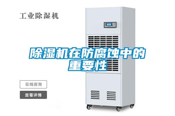 麻豆视频黄网站在防腐蚀中的重要性