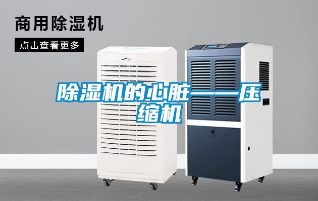 麻豆视频黄网站的心脏——压缩机