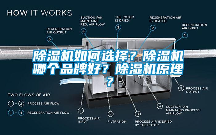 麻豆视频黄网站如何选择?麻豆视频黄网站哪个品牌好?麻豆视频黄网站原理?