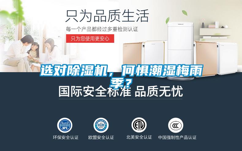 选对麻豆视频黄网站，何惧潮湿梅雨季？