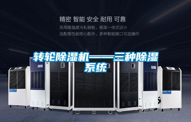 转轮麻豆视频黄网站——三种除湿系统