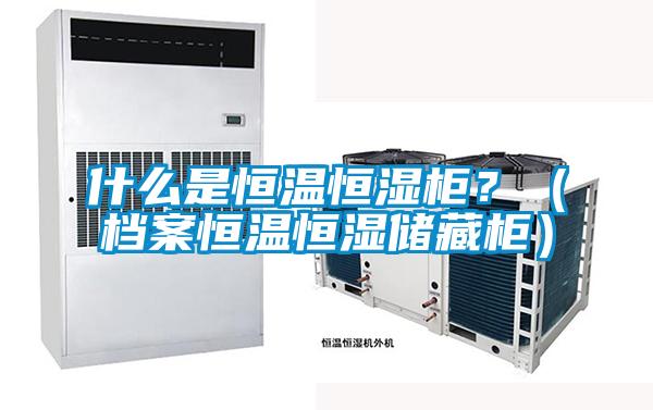 什么是恒温恒湿柜？（档案恒温恒湿储藏柜）