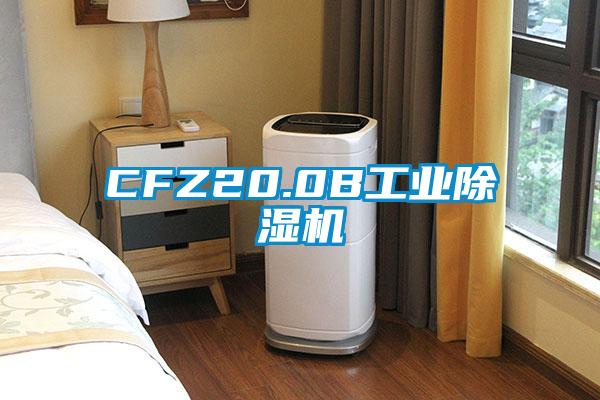 CFZ20.0B工业麻豆视频黄网站
