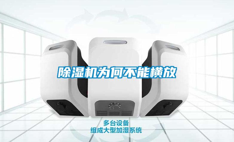麻豆视频黄网站为何不能横放