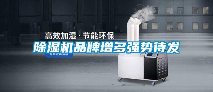 麻豆视频黄网站品牌增多强势待发