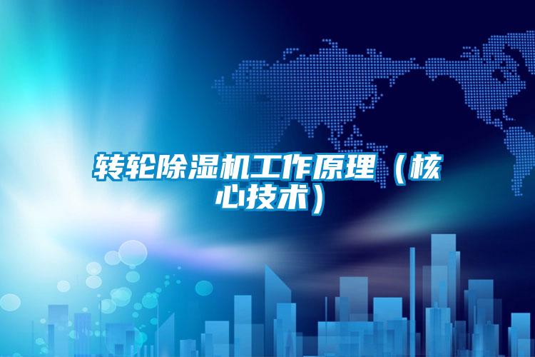 转轮麻豆视频黄网站工作原理（核心技术）
