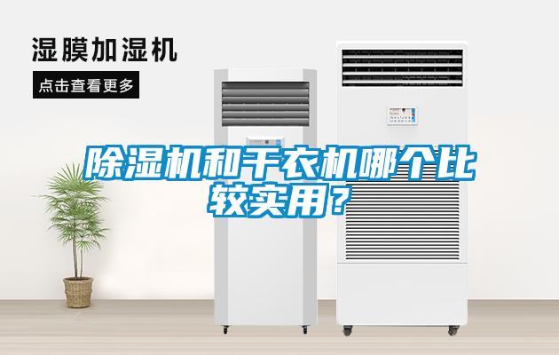 麻豆视频黄网站和干衣机哪个比较实用？