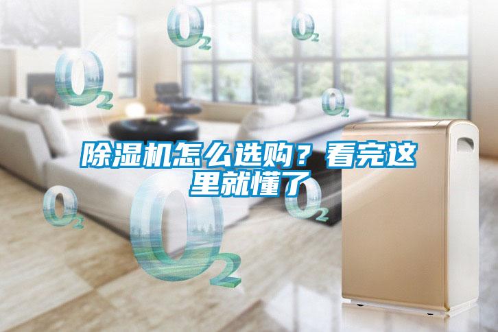 麻豆视频黄网站怎么选购？看完这里就懂了