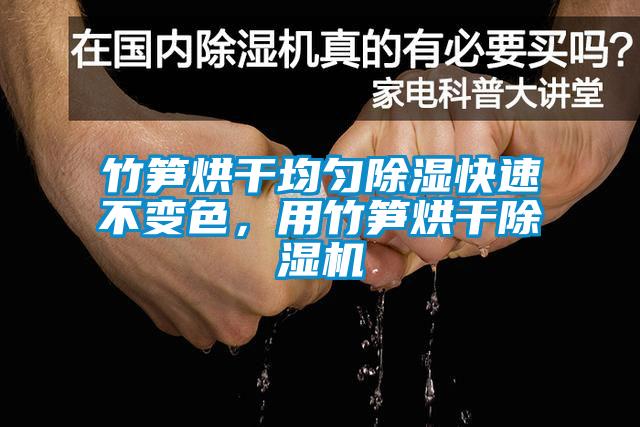 竹笋烘干均匀除湿快速不变色，用竹笋烘干麻豆视频黄网站