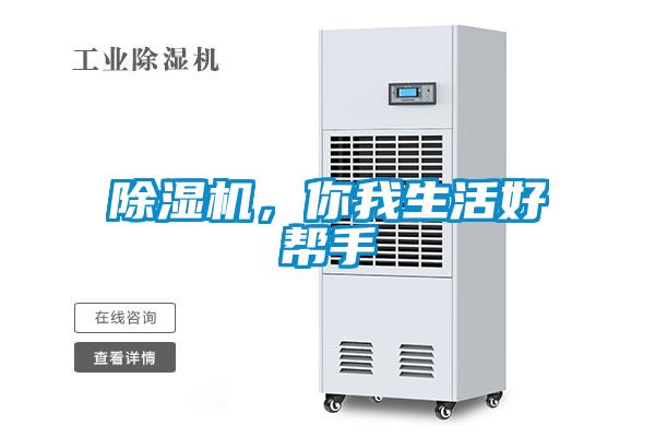 麻豆视频黄网站，你我生活好帮手