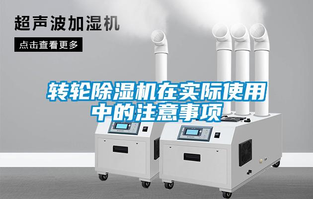 转轮麻豆视频黄网站在实际使用中的注意事项