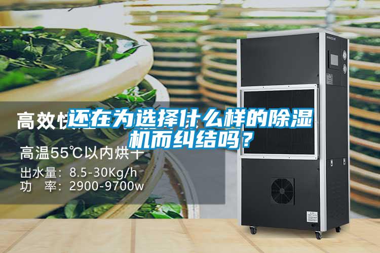 还在为选择什么样的麻豆视频黄网站而纠结吗？