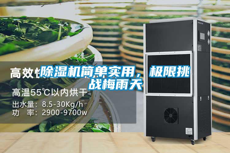 麻豆视频黄网站简单实用，极限挑战梅雨天
