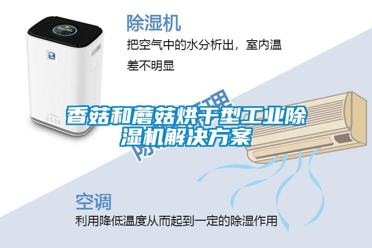 香菇和蘑菇烘干型工业麻豆视频黄网站国产麻豆剧果冻传媒星空视频