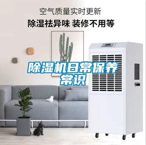 麻豆视频黄网站日常保养常识