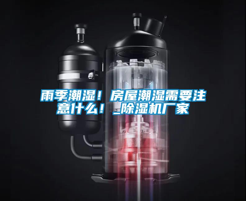 雨季潮湿！房屋潮湿需要注意什么！_麻豆视频黄网站厂家