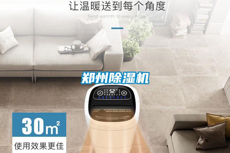郑州麻豆视频黄网站