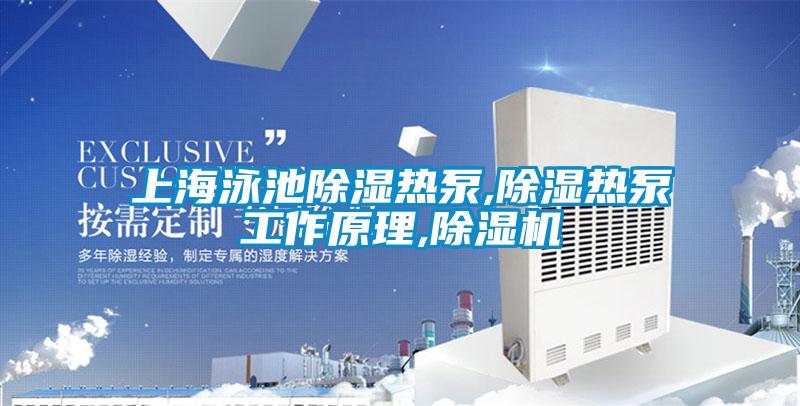 上海泳池除湿热泵,除湿热泵工作原理,麻豆视频黄网站