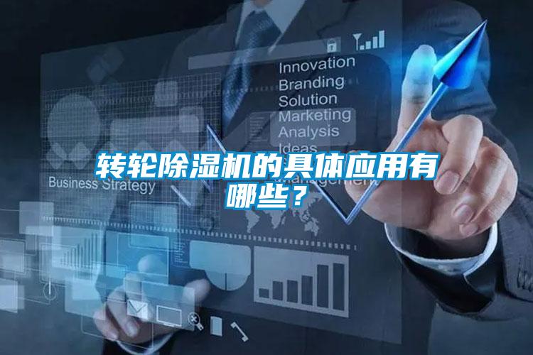 转轮麻豆视频黄网站的具体应用有哪些？