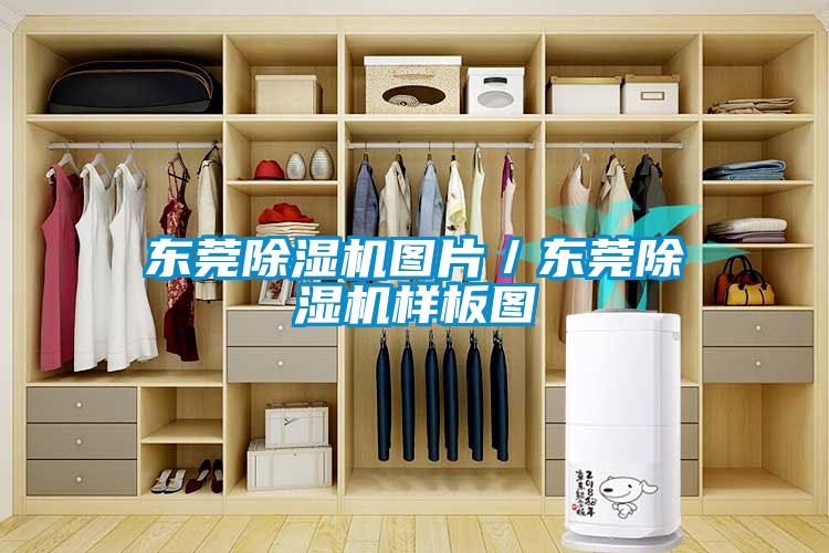 东莞麻豆视频黄网站图片／东莞麻豆视频黄网站样板图