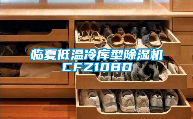 临夏低温冷库型麻豆视频黄网站CFZ10BD