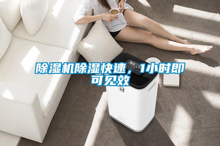 麻豆视频黄网站除湿快速，1小时即可见效
