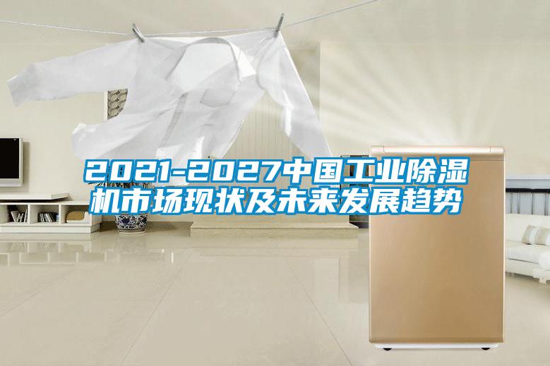 2021-2027中国工业麻豆视频黄网站市场现状及未来发展趋势