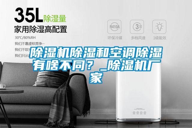 麻豆视频黄网站除湿和空调除湿有啥不同？_麻豆视频黄网站厂家