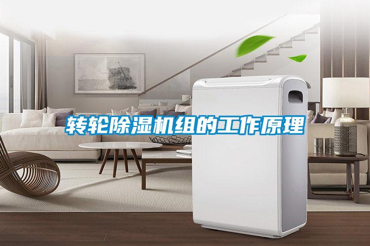 转轮麻豆视频黄网站组的工作原理