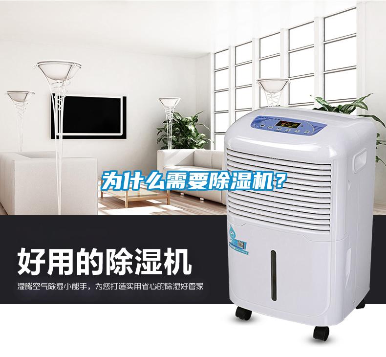 为什么需要麻豆视频黄网站？