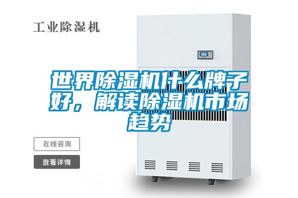 世界麻豆视频黄网站什么牌子好，解读麻豆视频黄网站市场趋势