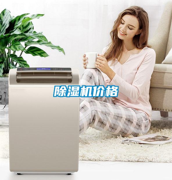 麻豆视频黄网站价格