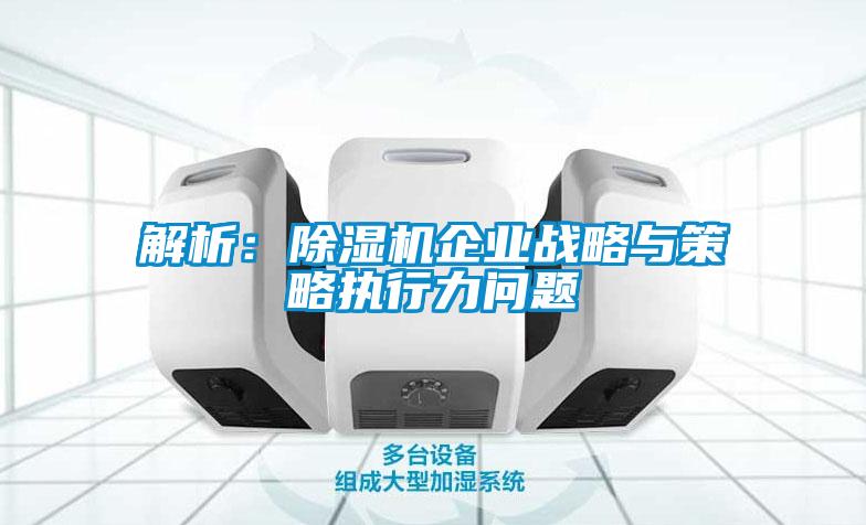解析：麻豆视频黄网站企业战略与策略执行力问题