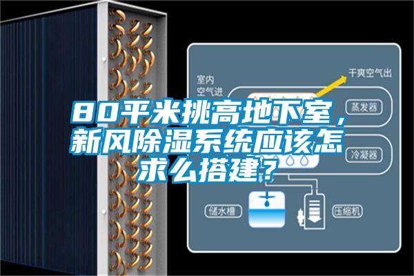 80平米挑高地下室，新风除湿系统应该怎求么搭建？