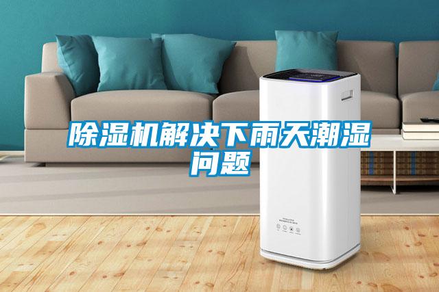 麻豆视频黄网站解决下雨天潮湿问题