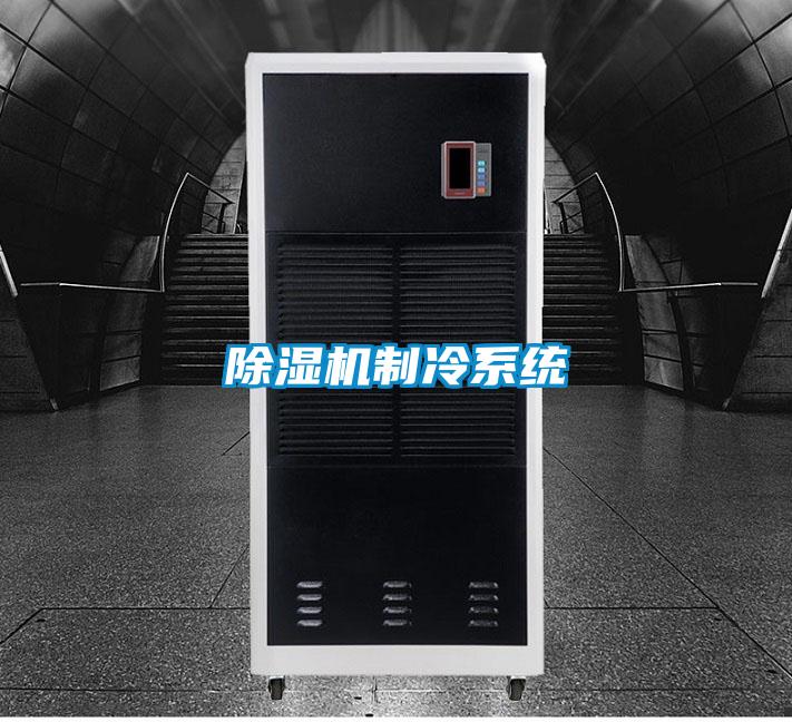 麻豆视频黄网站制冷系统