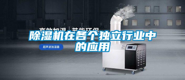 麻豆视频黄网站在各个独立行业中的应用