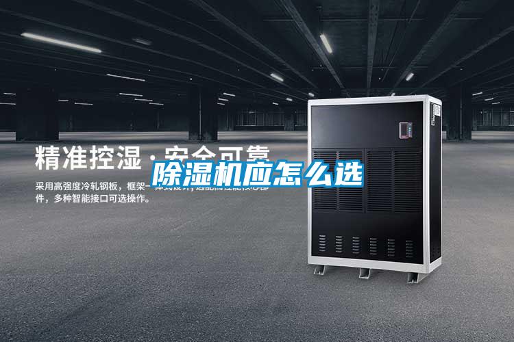 麻豆视频黄网站应怎么选