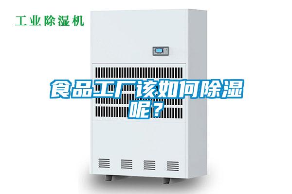 食品工厂该如何除湿呢？