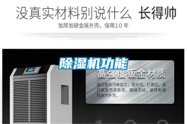 麻豆视频黄网站功能