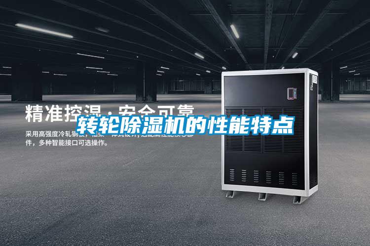 转轮麻豆视频黄网站的性能特点