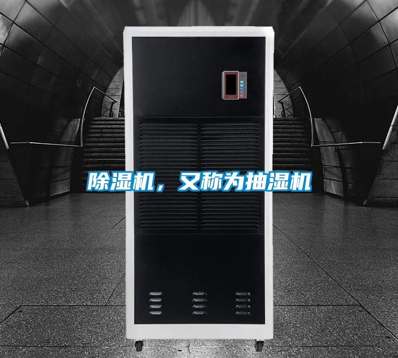 麻豆视频黄网站，又称为抽湿机