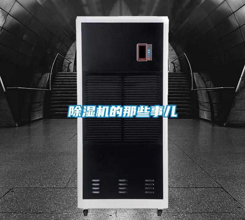 麻豆视频黄网站的那些事儿