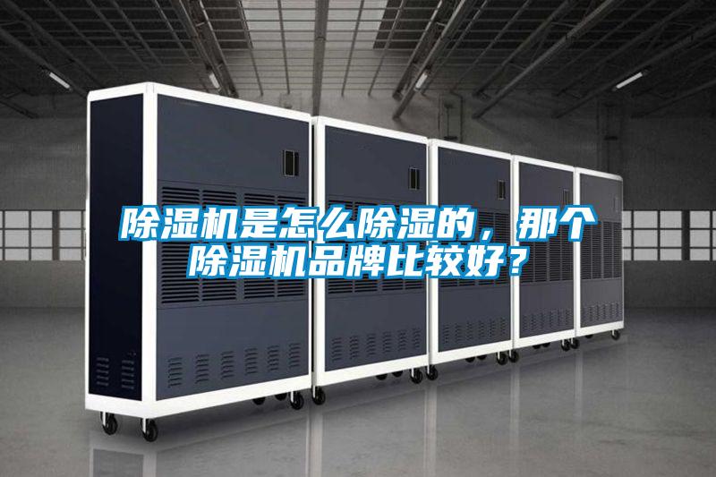 麻豆视频黄网站是怎么除湿的，那个麻豆视频黄网站品牌比较好？