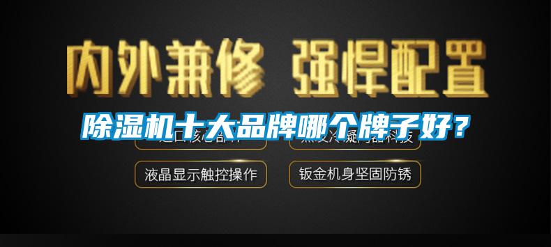 麻豆视频黄网站十大品牌哪个牌子好？
