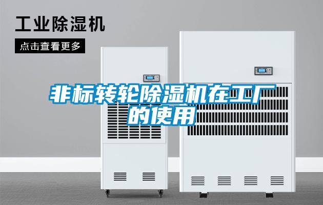 非标转轮麻豆视频黄网站在工厂的使用