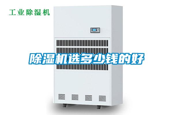 麻豆视频黄网站选多少钱的好