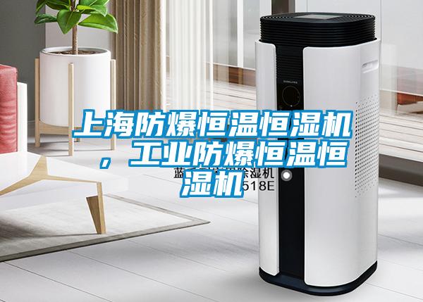 上海防爆恒温恒湿机 ，工业防爆恒温恒湿机