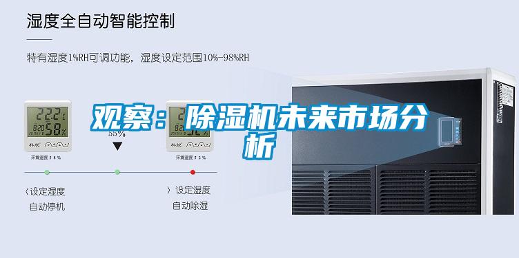 观察：麻豆视频黄网站未来市场分析