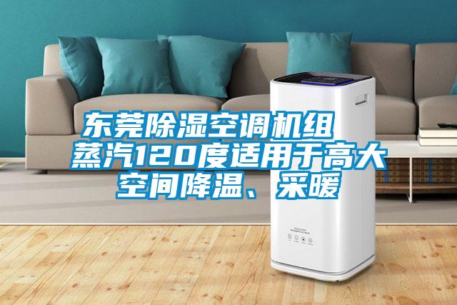 东莞除湿空调机组  蒸汽120度适用于高大空间降温、采暖